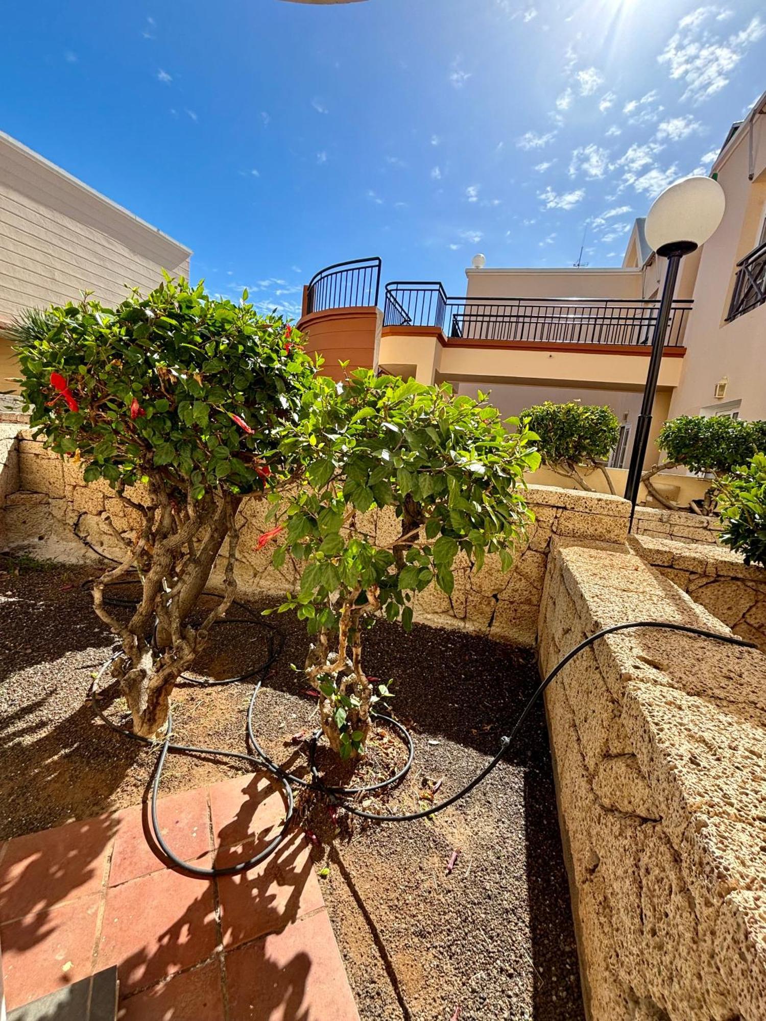 Apartment Clara Fanabe Costa Adeje  Zewnętrze zdjęcie